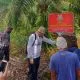 Kasus Perambahan 210 Hektar Hutan Langkat