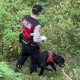 Anjing Pelacak K-9 Polda Jatim Ungkap Kasus Mutilasi di Pacet Mojokerto