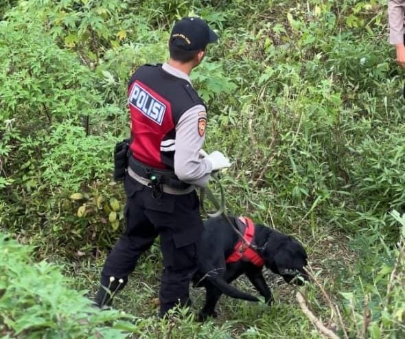 Anjing Pelacak K-9 Polda Jatim Ungkap Kasus Mutilasi di Pacet Mojokerto