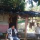 Fakta Sebenarnya di Balik Video Viral Guru Honorer Tinggal di Gubuk
