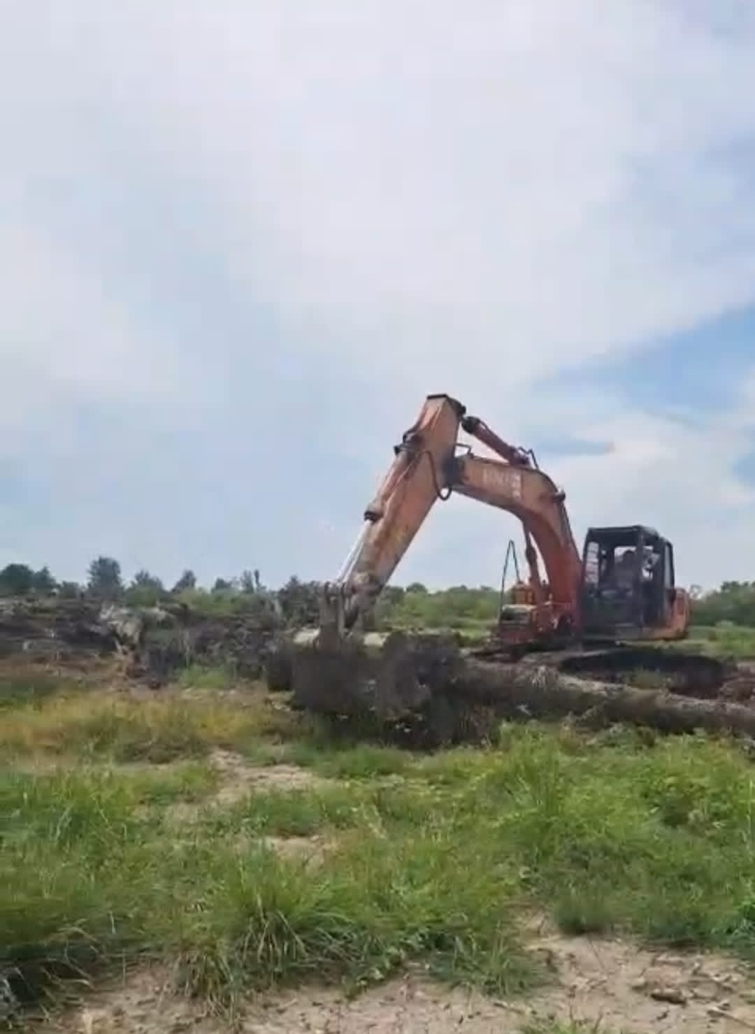 Warga Minta Polda Sumut Tegas Tangani Perambahan Hutan di Sergai