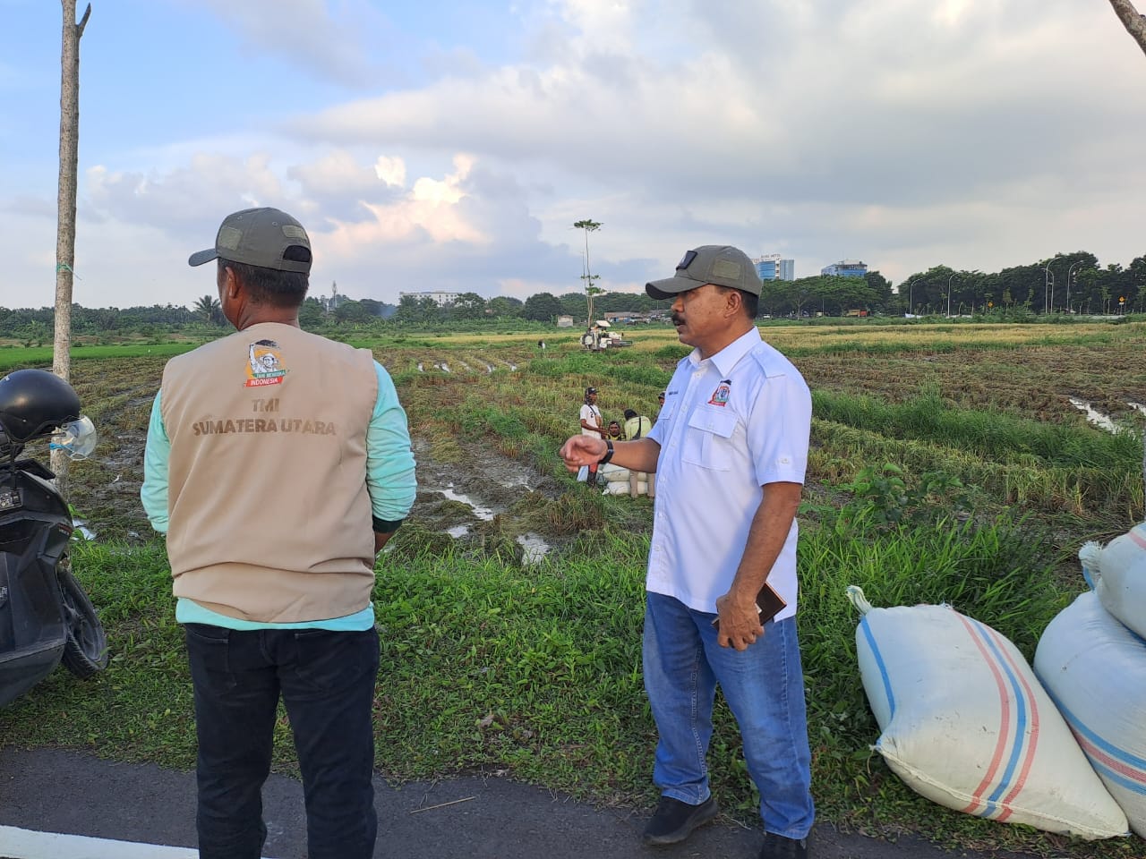panen raya hasil demplot pertanian Tani Merdeka Deli Serdang