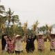 Produksi Padi dan Jagung Banyuwangi Surplus