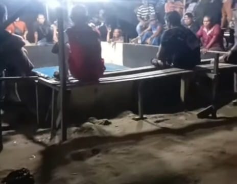 Arena Sabung Ayam di Kutalimbaru Bebas Beroperasi