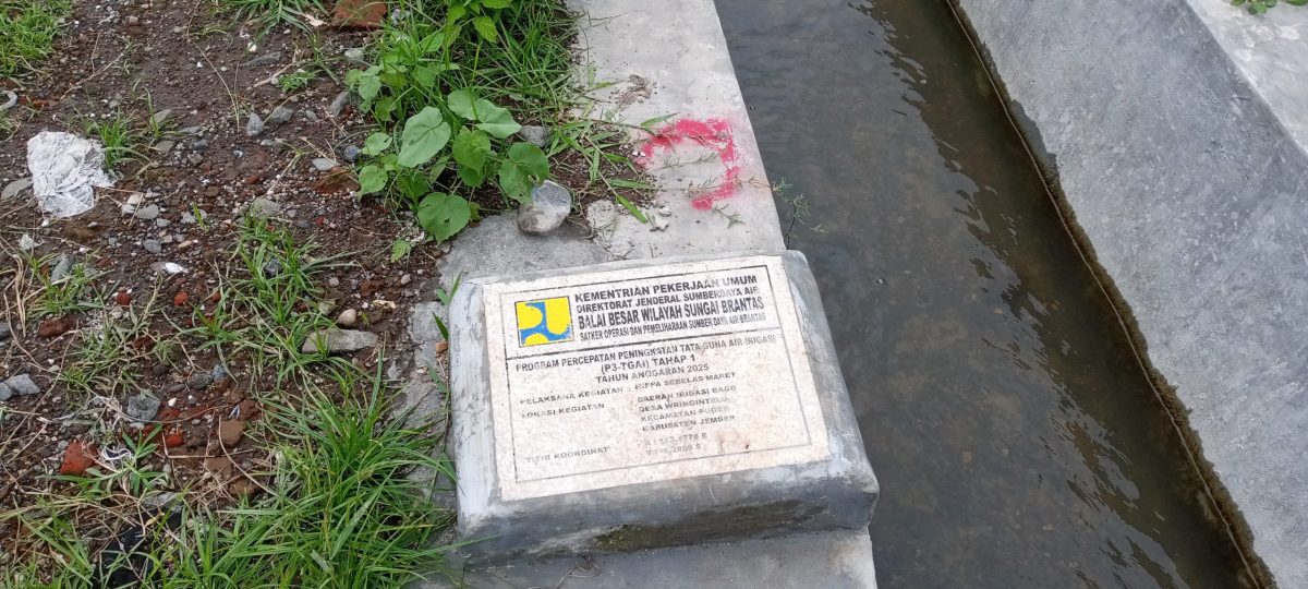 Proyek P3GAI di Kabupaten Jember