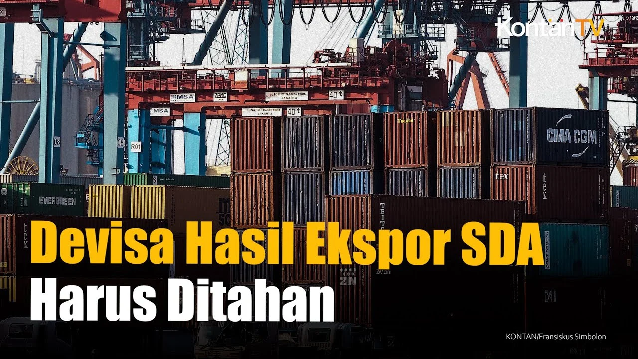 DSI Dijadikan Senjata Utama Atasi Kebocoran Ekspor SDA Senilai Rp 15.980 Triliun