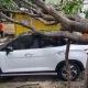 Ford Everest Tabrak Lari di Solo, Kena Karma Hantam Pohon hingga Ringsek