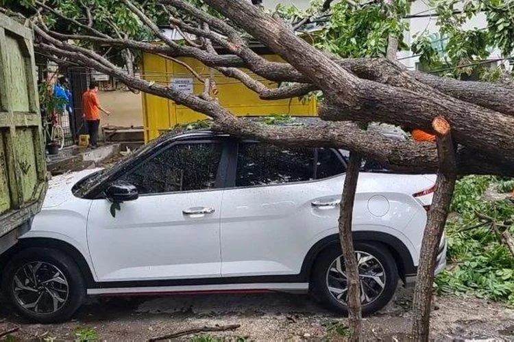 Ford Everest Tabrak Lari di Solo, Kena Karma Hantam Pohon hingga Ringsek