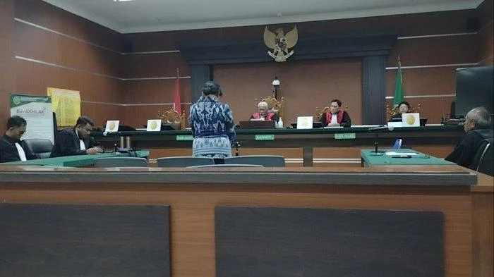 Pengacara Ungkap Rekaman CCTV: Erin Ditarik Paksa Eks ART