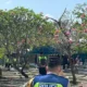 Di Balik Sate Maut Boyolali: Menantu Sakit Hati, Racun Tikus Jadi Senjata Pembunuh