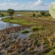 Fenomena Migrasi Mamalia Terbesar di Dunia di Sudan Selatan: Lebih Dahsyat dari Serengeti, Namun Masih Sunyi dari Wisatawan