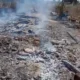 Gubuk Hutan Berisi Hasil Panen dan Motor Terbakar: Analisis Dampak dan Upaya Pemulihan