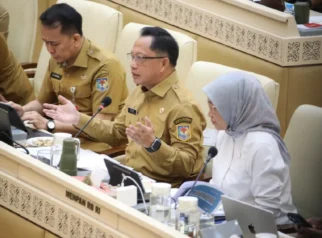 Honorer Administrasi Pasti Tidak Suka Pernyataan Mendagri Ini, Jleb!