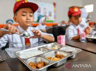 Kawal Program Makan Bergizi Gratis, Ini Rekam Jejak Agustina Arumsari Wakil Kepala BGN yang Baru