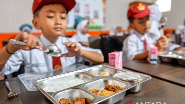 Kawal Program Makan Bergizi Gratis, Ini Rekam Jejak Agustina Arumsari Wakil Kepala BGN yang Baru