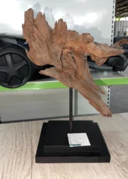 Kejutan di Lapangan dan Galeri: Prospek Luis Peña dan Seni Kayu Driftwood Mengguncang Dunia Timber