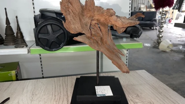 Kejutan di Lapangan dan Galeri: Prospek Luis Peña dan Seni Kayu Driftwood Mengguncang Dunia Timber