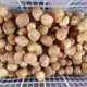 Kentang Jember, Komoditas Potensial yang Mulai Dilirik Petani dan Pelaku UMKM
