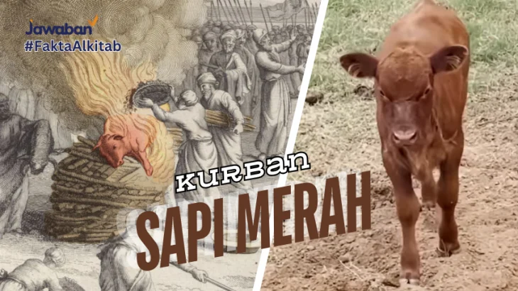 Kontroversi Sapi Kurban Prabowo: APBN Digunakan, MUI Dukung, Pengamat Analisis Dampak