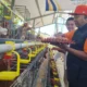 Pemkab Situbondo Kembangkan Peternakan Ayam Petelur Skala Rumah Tangga untuk Atasi Kekurangan Telur