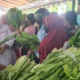 Pemkab Situbondo Perkuat Pertanian Berkelanjutan lewat Bagi‑bagi Sayur Organik dan Pupuk Organik Cair