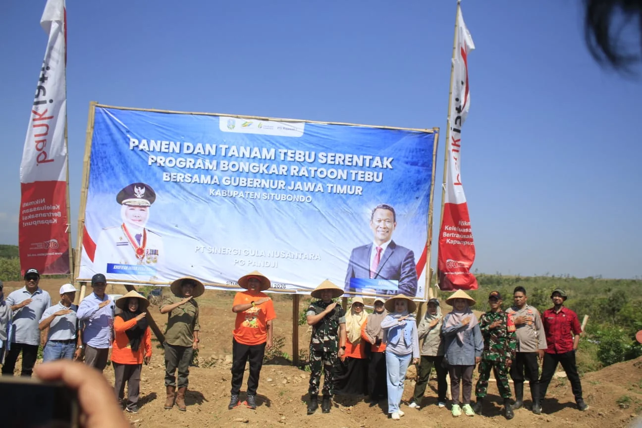 Perluasan Lahan Tebu di Situbondo Lebihi Target, Capai 598 Hektare