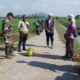 Petani Wringintelu Puger Lakukan Perburuan Hama Tikus Besar-besaran untuk Selamatkan Panen Padi