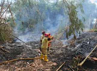 PKK Pondok Bedadung Ingatkan Warga Waspada Kebakaran di Musim Kemarau: Respons Cepat Selamatkan Lahan dan Permukiman