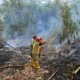PKK Pondok Bedadung Ingatkan Warga Waspada Kebakaran di Musim Kemarau: Respons Cepat Selamatkan Lahan dan Permukiman