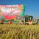POC Limbah Dapur Terbukti Tingkatkan Produksi Padi dari 7,3 Ton menjadi 9,1 Ton per Hektare