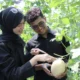 Polije Buka Wisata Petik Melon, Kenalkan Pertanian Modern kepada Masyarakat