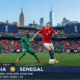 Prediksi dan Statistik Norwegia vs Senegal: Pertahanan Singa Teranga Diuji Erling Haaland