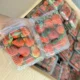 Strawberry, Buah Merah yang Baik untuk Menunjang Performa Atlet Sepak Bola