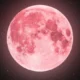 Strawberry Moon 30 Juni 2026: Bulan Purnama Cantik Menghiasi Langit Indonesia, Catat Waktunya!