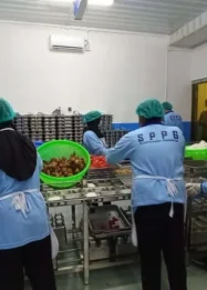 20 Dapur Makan Bergizi Gratis di Pamekasan Belum Miliki IPAL, Dampak Lingkungan dan Tantangan Pemerintah
