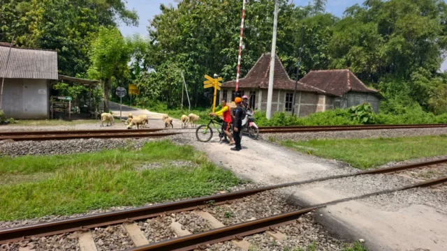 Aksi Pemotor Melintas di Rel: Ancaman Nyata bagi Keselamatan Perkeretaapian
