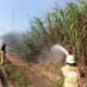 Angin Kencang Picu Kebakaran Lahan Tebu di Kediri: Kerugian Rp50 Juta dan Pelajaran Kewaspadaan