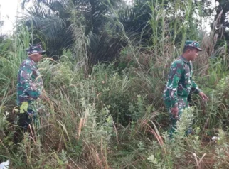 Babinsa Koramil 03Mandau Perkuat Patroli Cegah Karhutla: Strategi Komprehensif di Tengah Ancaman Kebakaran Hutan