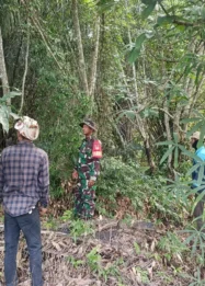 Babinsa Rupat Sisir Lahan Rawan, Pastikan Nol Karhutla di Pangkalan Nyirih