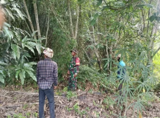 Babinsa Rupat Sisir Lahan Rawan, Pastikan Nol Karhutla di Pangkalan Nyirih
