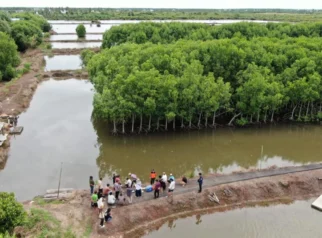 Batam Pacu Ekonomi Digital dan Ekspor Perikanan, Mangrove Jadi Perhatian