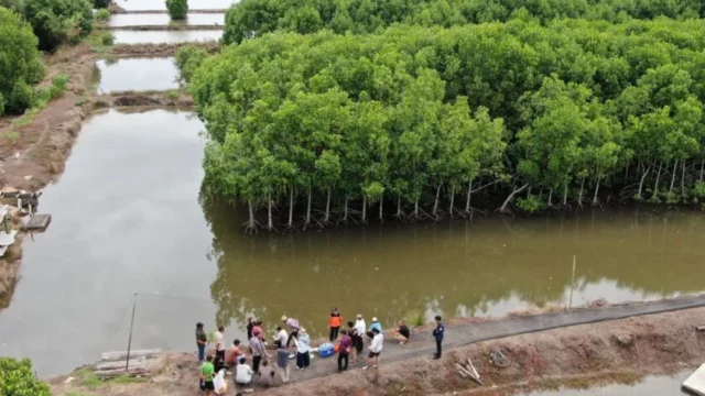 Batam Pacu Ekonomi Digital dan Ekspor Perikanan, Mangrove Jadi Perhatian