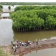 Batam Pacu Ekonomi Digital dan Ekspor Perikanan, Mangrove Jadi Perhatian