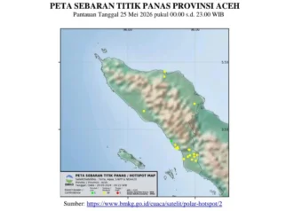 BMKG Pantau 33 Titik Panas di Enam Wilayah Aceh, Aceh Selatan Paling Banyak: Analisis dan Implikasi