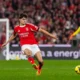 Bournemouth Resmi Dapatkan Antonio Silva dari Benfica dengan Nilai Transfer £26 Juta