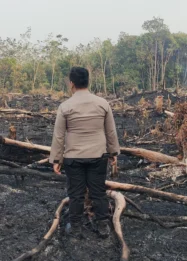 BPBD Muba Catat 179 Titik Panas dan Perkuat Mitigasi Kebakaran Hutan Musi Banyuasin