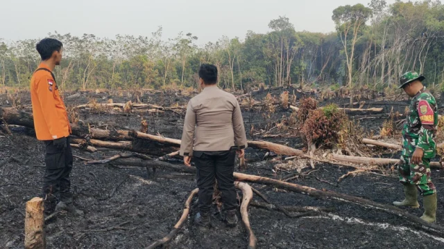 BPBD Muba Catat 179 Titik Panas dan Perkuat Mitigasi Kebakaran Hutan Musi Banyuasin