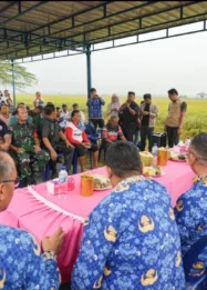 Bupati Deli Serdang Perkuat Dukungan bagi Petani: Kebijakan, Infrastruktur, dan Dampaknya