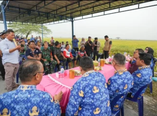 Bupati Deli Serdang Perkuat Dukungan bagi Petani: Kebijakan, Infrastruktur, dan Dampaknya