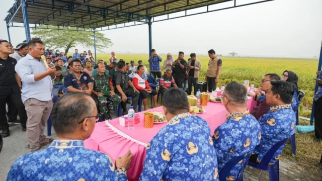 Bupati Deli Serdang Perkuat Dukungan bagi Petani: Kebijakan, Infrastruktur, dan Dampaknya